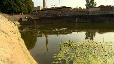 Transport rzeczny tonie. Upał go pogrąża