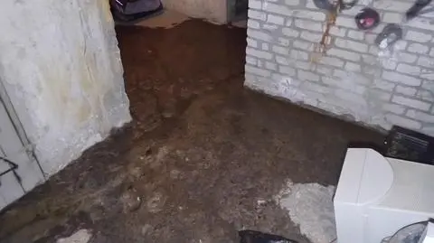 Po kostki w fekaliach, bo "gospodarz domu w weekend ma wolne"