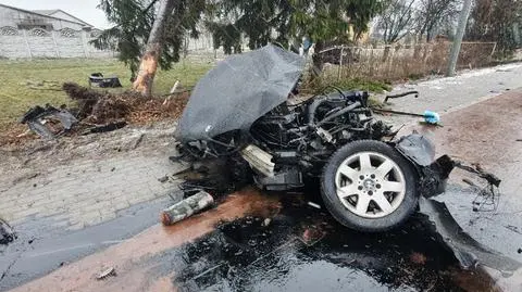 Samochód rozpadł się na części po uderzeniu w drzewo 