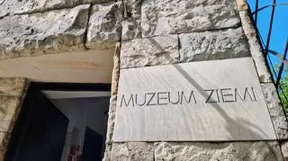 Muzeum Ziemi w Warszawie 