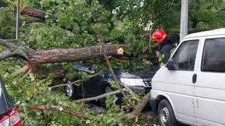 Drzewo spadło na samochody