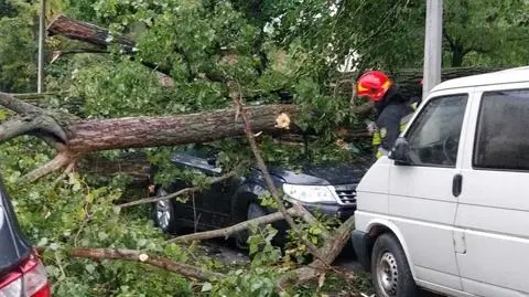 Nawałnica przeszła przez stolicę: powalone drzewa, uszkodzone auta