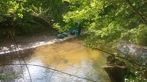 Kajakarze znaleźli dziesięć martwych psów i kilka szczeniaków. Były w workach 