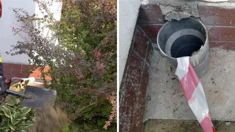 Kot utknął, strażacy pospieszyli mu na pomoc