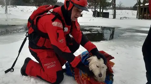 Pod psem załamał się lód. Na pomoc ruszyli strażacy