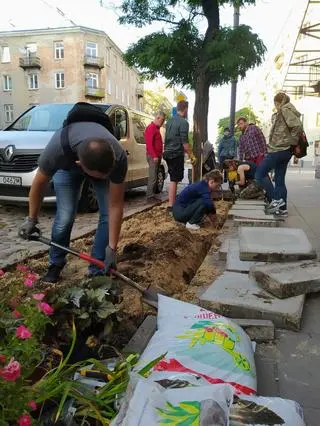 Grupa "eko-chuliganów" zdjęła płyty chodnikowe i nasadziła zieleń