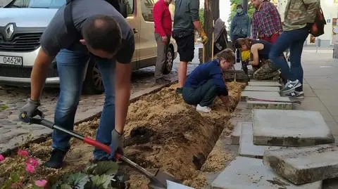 Nie czekali na urzędników. Sami "rozbetonowali" Stalową, żeby ratować drzewa
