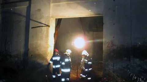 Podpalił stajnię z końmi, bo strażacy nie pomogli mu znaleźć królika 