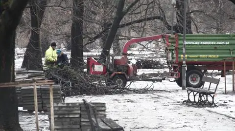 Komisja Dialogu Społecznego oburzona wycinką w Ogrodzie Krasińskich