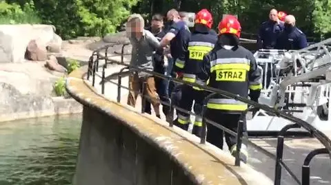 Wtargnął na wybieg, podtapiał niedźwiedzicę. "Przyznał się do winy i wyraził skruchę"