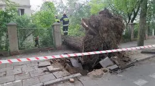 Ogromne drzewo zwaliło się na sąsiadujący budynek