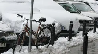 Rowerzyści mogą zająć miejsca parkingowe?