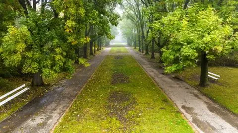 Pożegnanie z radziecką rabatą i betonową aleją. Park Skaryszewski ma wyglądać jak przed wojną