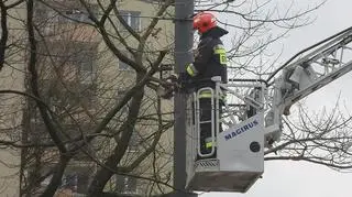 Akcja straży pożarnej przy Anielewicza