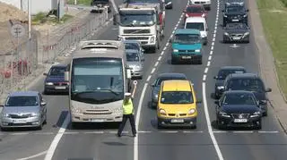 Wisłostrada zablokowana w zawiązku z akcją odławiania łosia