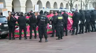 Manifestacja na Placu Zamkowym