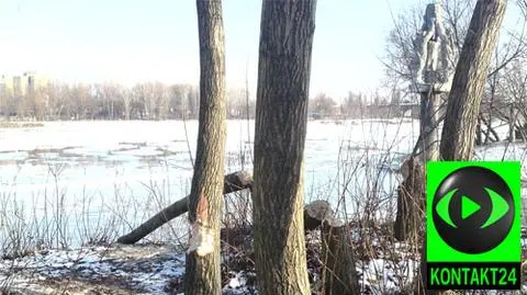 Bobry nad Wisłą. "Może  chciały zobaczyć pomnik?"