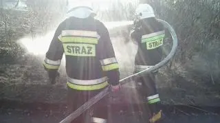 Strażacy w akcji