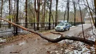 Na miejscu interweniowali strażnicy miejscy