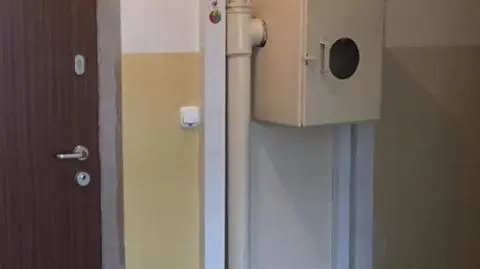 Gołębie w hydrancie 