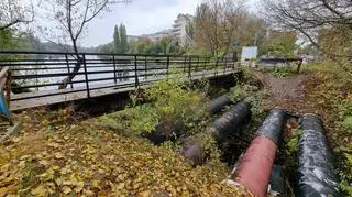 Rocznica zamknięcia mostku nad Kanałem Wystawowym