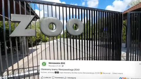 Nie trzeba już podglądać zwierząt online. Otwiera się zoo