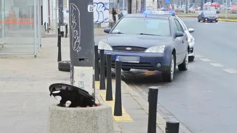 Zjechał na krawężnik, uszkodził koło. Policjanci chcieli mu pomóc, ale wyczuli alkohol 