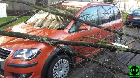 Konary na ulicach, zerwana trakcja tramwajowa. "Ponad 40 zgłoszeń"