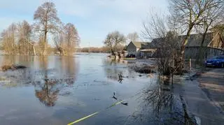 Woda z rzeki Bug podeszła pod gospodarstwa