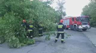 Drzewo spadło na samochód