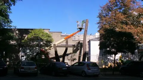 Wycinają drzewa na wniosek MON. "Kolizja z planowanym remontem ogrodzenia"