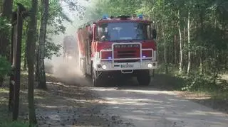 Pożar lasu w Jabłonnie