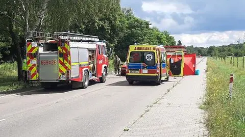 Auto uderzyło w drzewo, kierowca nie przeżył