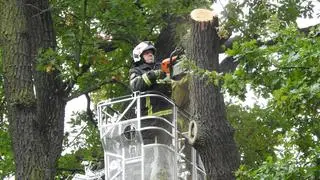 Akcja służb na ulicy Czecha