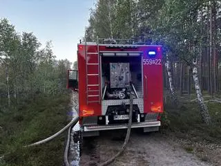 Pożar lasu w Karczewie 