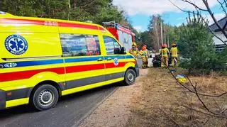 Po zderzeniu ze zwierzyną leśną, dwie osoby trafiły do szpitala