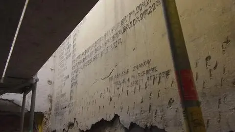 Co dalej ze znaleziskiem z Włoch? Kolejarze chcą je chronić