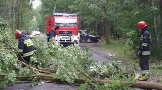 Akcja strażaków