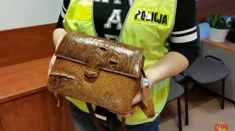 Torebka ze skóry krokodyla znaleziona w lumpeksie