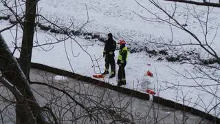 Akcja straży pożarnej w parku Powstańców Warszawy