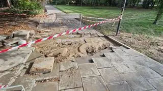 Woda z pękniętej rury wleciała do parku Szustrów i parku Promenada