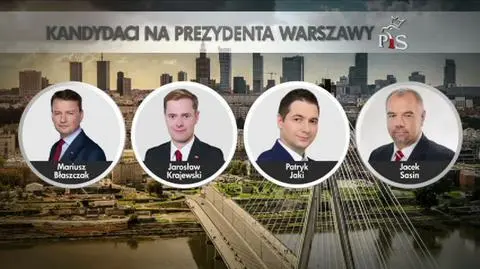 Nowoczesna ma kandydata, Platforma jedynie faworytów