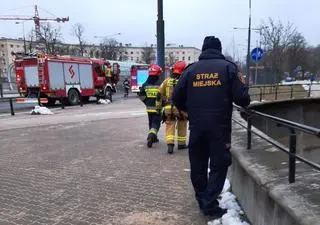 Mężczyzna wpadł do nieczynnego wybiegu dla niedźwiedzi 