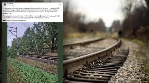 Drzewo runęło na tory kolejowe