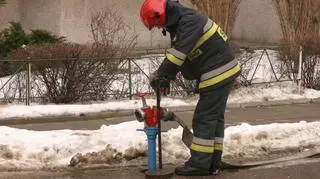 Strażacy ugasili pożar