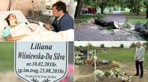 "Drzewo pozbawiło życia wnuczkę, z córki zrobiło kalekę. Koszmar"