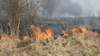 Ostrzeżenie przed niebezpieczeństwem 