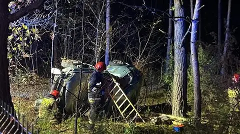 Samochód wypadł z drogi, uderzył w ogrodzenie i drzewo. Ranni 