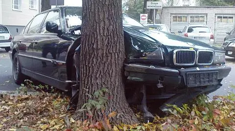 BMW na drzewie