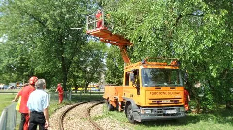 Konar spadł na trakcję. Strażacy w akcji